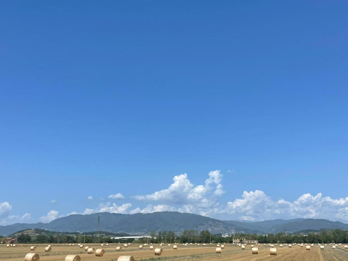 Lucca Holiday Rental- By The Walls N 395 Buitenkant foto